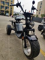 Купить Электроскутер  Citycoco SKYBOARD Trike BR80 - #SOTBIT_REGIONS_NAME# 